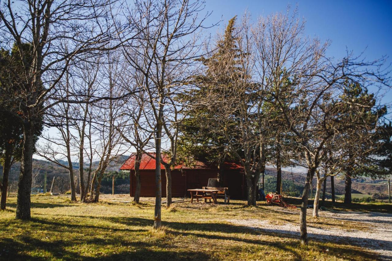 Vila Le Radici Isola del Piano Exteriér fotografie